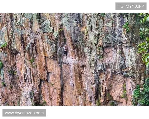 重庆极限运动队在攀岩联赛中以95分稳居积分榜首位